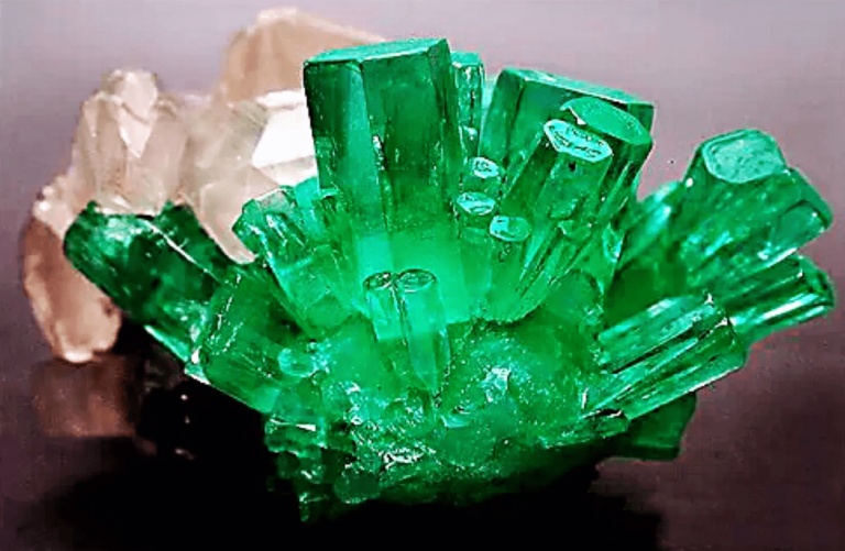 Lernen Sie Emerald Kennen